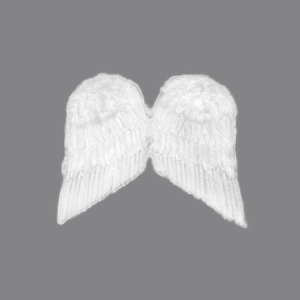 Крылья перьевые белые 60х50 см