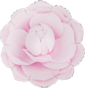 13509921_6bf3_4958_8161_ad4e45b2ae60_ea10afc8_05cb_11f1_b640_5c6f6916e93d