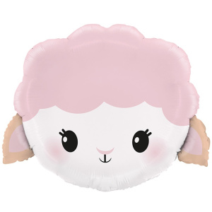 66dbfeb6255a2513af698d318ac270f6