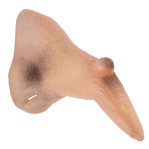 aa2c60fb_3df2_4f1f_a1fb_30afde3bd701_2a91f76c_5ea4_11ef_b629_5c6f6916e93d