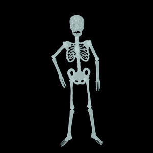 4da8d8aa184aa4fe263e852646577e1e