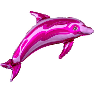07460-pink-dolphin