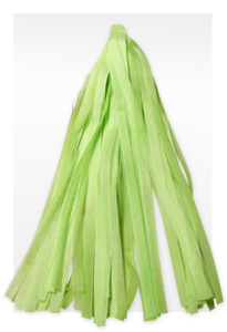 Гирлянда Тассел Светло-зеленая 3м 12лист
