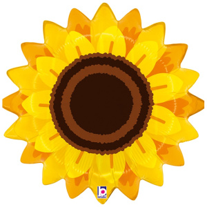 92e8fbf72f46747c9a62c2d32f744a09