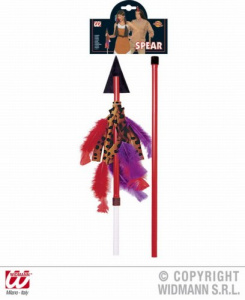 Копье Индейца