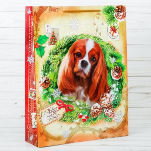 Пакет С новым счастьем 18*23*8см