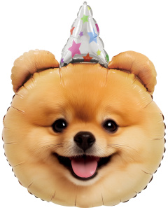 405194c1_0b15_4d6b_81d0_cdd26a738b6d_76a1a2f9_9ac0_11f0_b63a_5c6f6916e93d