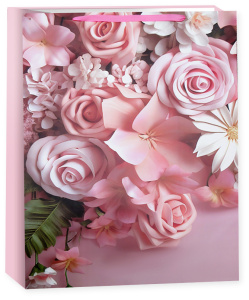 53005a5f_7eb2_40b9_b162_a7606c6aad16_086d990b_9c12_11ef_b62f_5c6f6916e93d