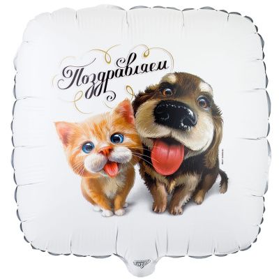 832c9ef585f31e1093b6dd1b77184c91