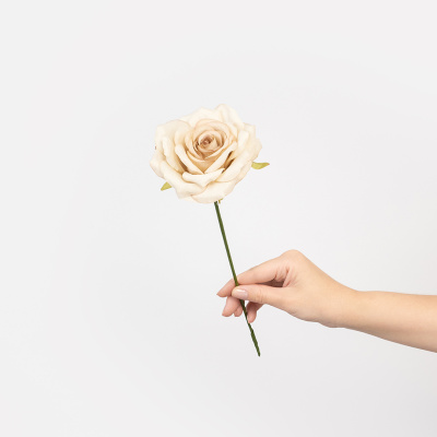 fc4cacca_3def_4041_a0a6_cec658d41004_daac68eb_8fe1_11f0_b639_5c6f6916e93d