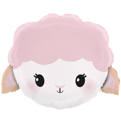 66dbfeb6255a2513af698d318ac270f6