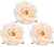 1b15eb26_7f4e_442b_b4f2_50de23c226d3_c0943abe_86e8_11f0_b639_5c6f6916e93d