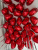 95C17BB3-C25A-48C9-8308-520407A81C8E