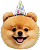 405194c1_0b15_4d6b_81d0_cdd26a738b6d_76a1a2f9_9ac0_11f0_b63a_5c6f6916e93d