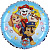 L18048-R18-Paw-Patrol-Action