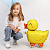 ba4498626a6cbb91ca912eea4bf2312f