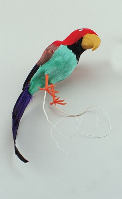 Попугай перьевой