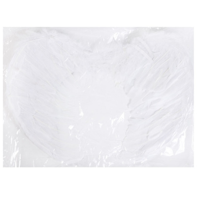 a8c5a25b0e446fcd858449c2cd6c51a2