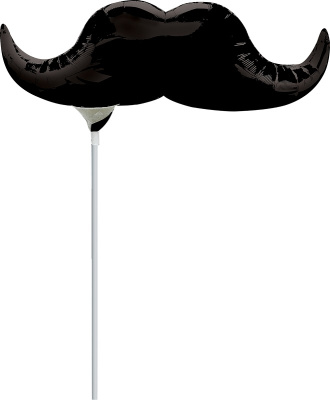 27855-black-mustache