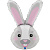 G72004-Bunny-Head
