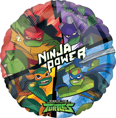 38907-rise-of-the-tmnt