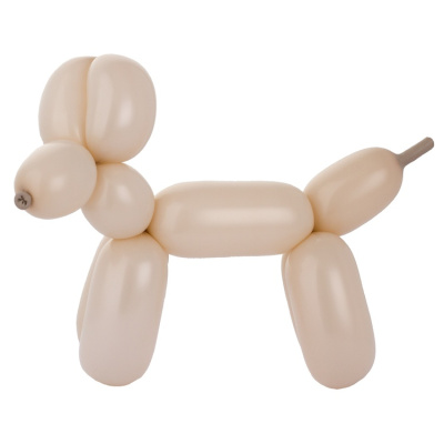 54299efbce640220be4475e98003f3b5