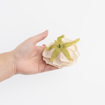 fc4cacca_3def_4041_a0a6_cec658d41004_e0ac099a_8fe1_11f0_b639_5c6f6916e93d