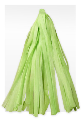 Гирлянда Тассел Светло-зеленая 3м 12лист