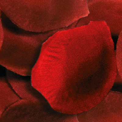 84007389d29cda3c8a61377548edfeb2