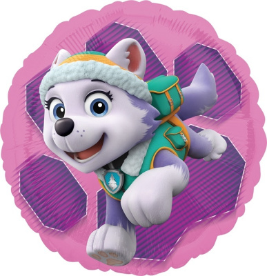 34088-paw-patrol-skye-&-everest-side-1