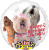 31272-happy-bark-day-to-you