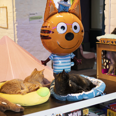 2c1fd7bf_003b_4e2c_888f_631e092e20b9_a0f409aa_6296_11ee_9234_3cecef035c95