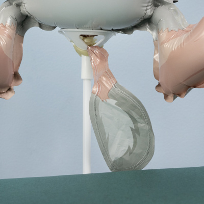 809592bb_3bcb_4908_a54d_f5fe5af62680_7c54d51d_820e_11ee_9234_3cecef035c95