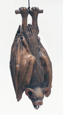 Летучая мышь висящая 