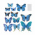 caa5726c_548c_4cd6_a767_8d7e4d9b98f3_94705114_5ec0_11ef_b629_5c6f6916e93d