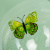 fa3945ac_e784_4c8d_bd32_ff03f2f85773_e2f5a354_8591_11ef_b62d_5c6f6916e93d