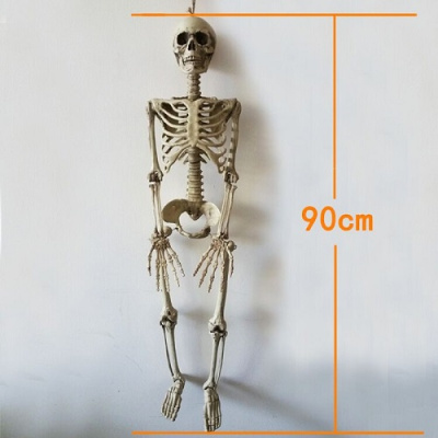 Скелет Человеческий 90см пластик