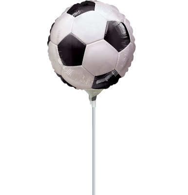 08747-championship-soccer