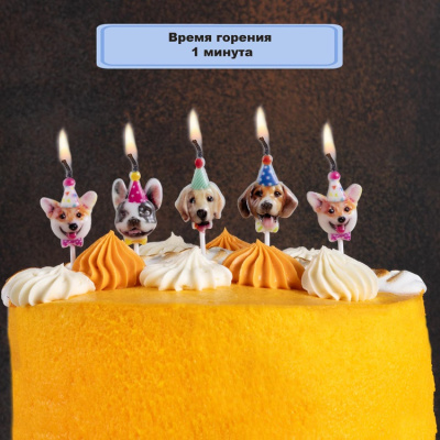 3462b8735af2116ae1db4693c830bacd