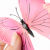 638af7d7_e28d_4148_a215_c99fff5f7f1f_f6486fd7_848f_11ef_b62d_5c6f6916e93d